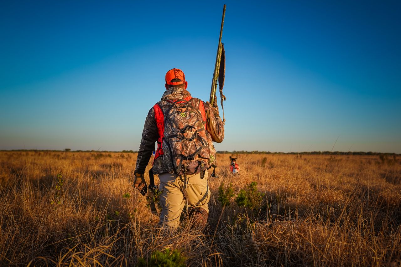 a hunter wearing camouflage walks through a grassy field at sunset holding a rifle