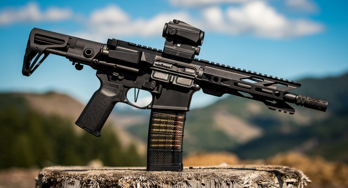 AR-15 rifle with a red dot sight standing on a wooden log outdoors